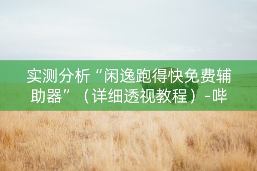 实测分析“闲逸跑得快免费辅助器”（详细透视教程）-哔哩哔哩
