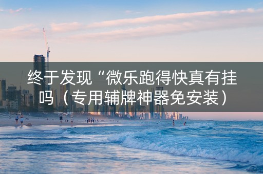 终于发现“微乐跑得快真有挂吗（专用辅牌神器免安装）