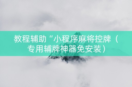 教程辅助“小程序麻将控牌（专用辅牌神器免安装）