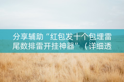 分享辅助“红包发十个包埋雷尾数排雷开挂神器”（详细透视教程）-哔哩哔哩