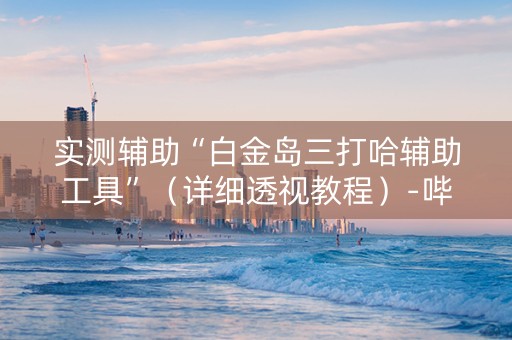 实测辅助“白金岛三打哈辅助工具”（详细透视教程）-哔哩哔哩