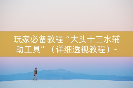 玩家必备教程“大头十三水辅助工具”（详细透视教程）-哔哩哔哩