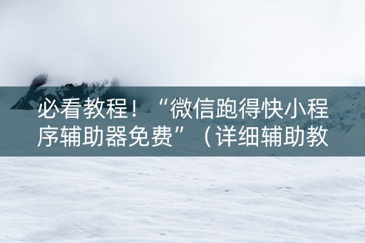 必看教程！“微信跑得快小程序辅助器免费”（详细辅助教程）-哔哩哔哩