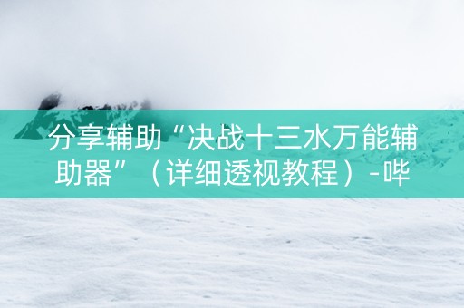 分享辅助“决战十三水万能辅助器”（详细透视教程）-哔哩哔哩