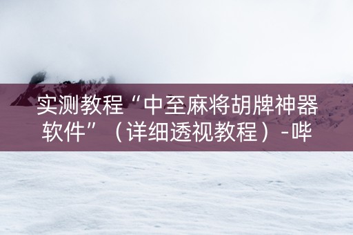 实测教程“中至麻将胡牌神器软件”（详细透视教程）-哔哩哔哩