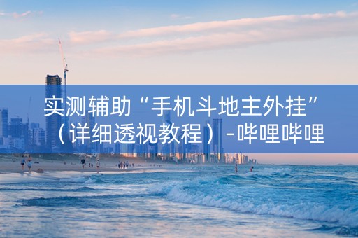 实测辅助“手机斗地主外挂”（详细透视教程）-哔哩哔哩