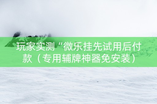 玩家实测“微乐挂先试用后付款（专用辅牌神器免安装）