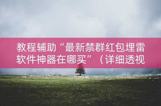 教程辅助“最新禁群红包埋雷软件神器在哪买”（详细透视教程）-哔哩哔哩