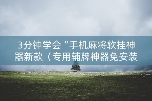 3分钟学会“手机麻将软挂神器新款（专用辅牌神器免安装）