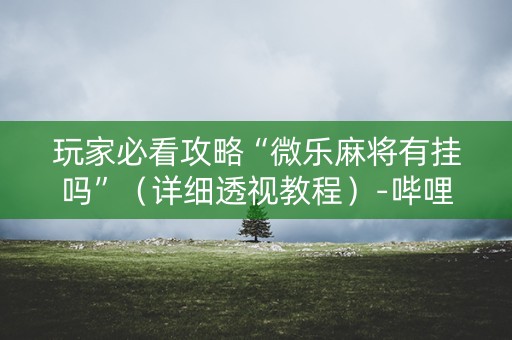 玩家必看攻略“微乐麻将有挂吗”（详细透视教程）-哔哩哔哩