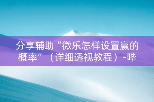 分享辅助“微乐怎样设置赢的概率”（详细透视教程）-哔哩哔哩