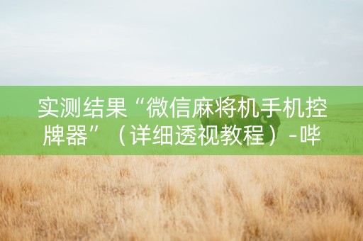 实测结果“微信麻将机手机控牌器”（详细透视教程）-哔哩哔哩