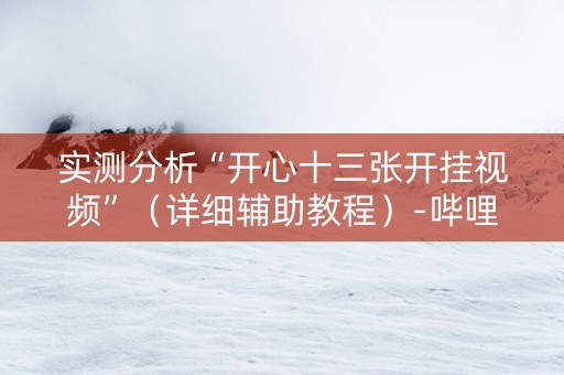 实测分析“开心十三张开挂视频”（详细辅助教程）-哔哩哔哩