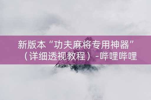 新版本“功夫麻将专用神器”（详细透视教程）-哔哩哔哩