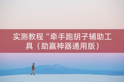 实测教程“牵手跑胡子辅助工具（助赢神器通用版）
