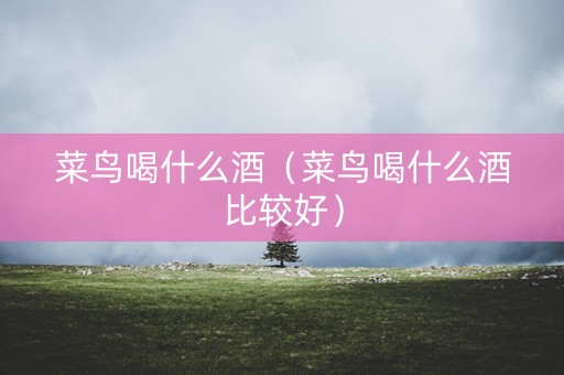 菜鸟喝什么酒（菜鸟喝什么酒比较好）