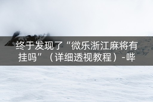 终于发现了“微乐浙江麻将有挂吗”（详细透视教程）-哔哩哔哩