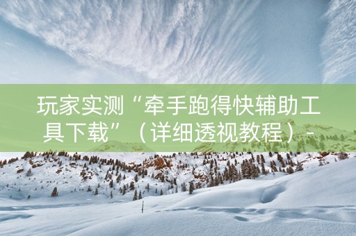 玩家实测“牵手跑得快辅助工具下载”（详细透视教程）-哔哩哔哩