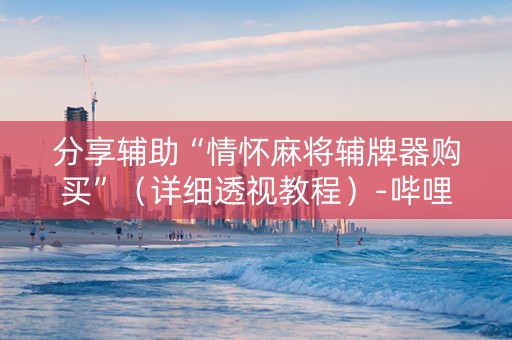 分享辅助“情怀麻将辅牌器购买”（详细透视教程）-哔哩哔哩
