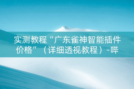 实测教程“广东雀神智能插件价格”（详细透视教程）-哔哩哔哩