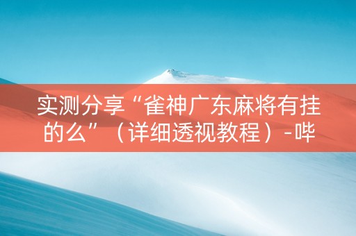 实测分享“雀神广东麻将有挂的么”（详细透视教程）-哔哩哔哩