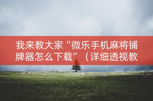 我来教大家“微乐手机麻将铺牌器怎么下载”（详细透视教程）-哔哩哔哩