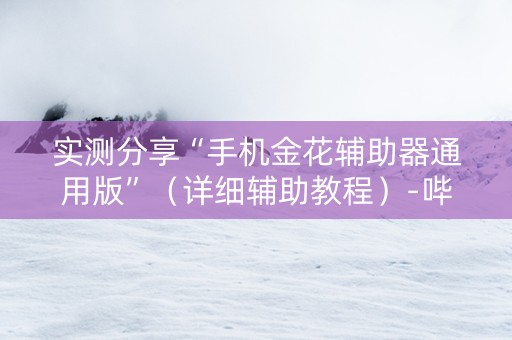 实测分享“手机金花辅助器通用版”（详细辅助教程）-哔哩哔哩