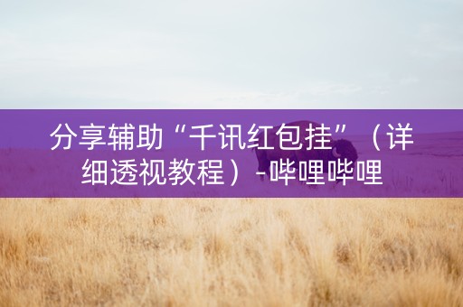 分享辅助“千讯红包挂”（详细透视教程）-哔哩哔哩
