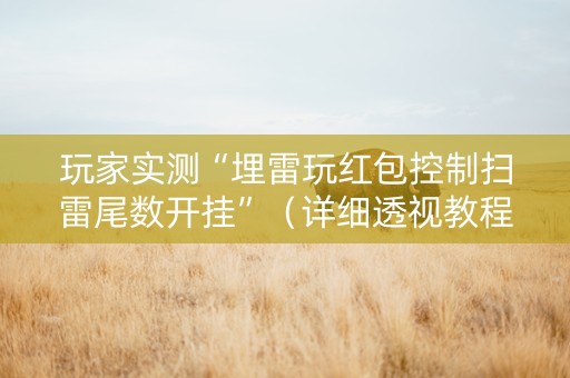 玩家实测“埋雷玩红包控制扫雷尾数开挂”（详细透视教程）-哔哩哔哩