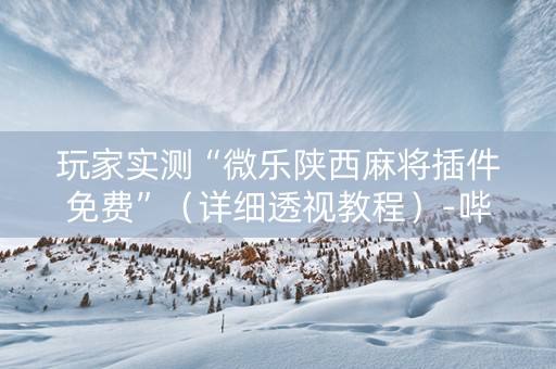 玩家实测“微乐陕西麻将插件免费”（详细透视教程）-哔哩哔哩