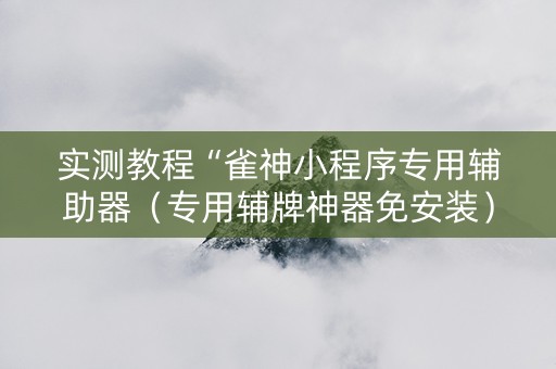 实测教程“雀神小程序专用辅助器（专用辅牌神器免安装）