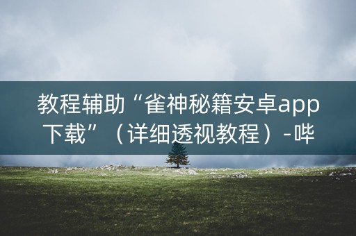 教程辅助“雀神秘籍安卓app下载”（详细透视教程）-哔哩哔哩