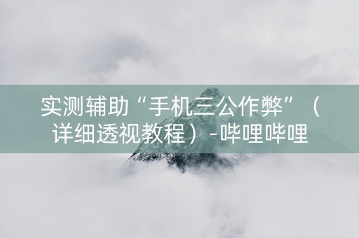 实测辅助“手机三公作弊”（详细透视教程）-哔哩哔哩