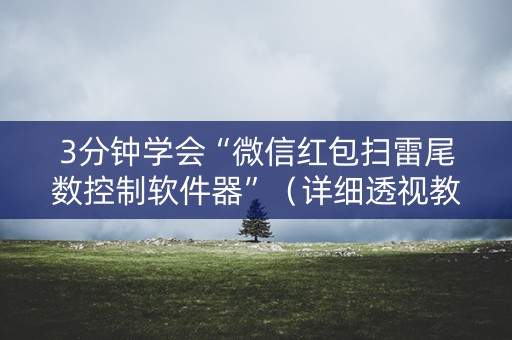 3分钟学会“微信红包扫雷尾数控制软件器”（详细透视教程）-哔哩哔哩