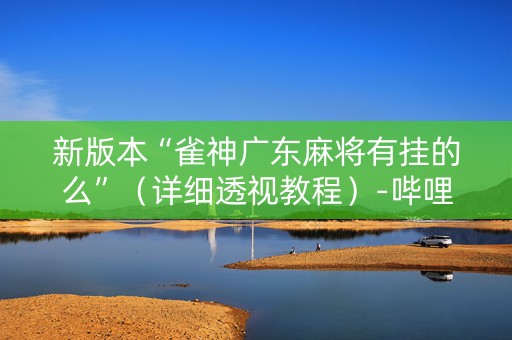 新版本“雀神广东麻将有挂的么”（详细透视教程）-哔哩哔哩