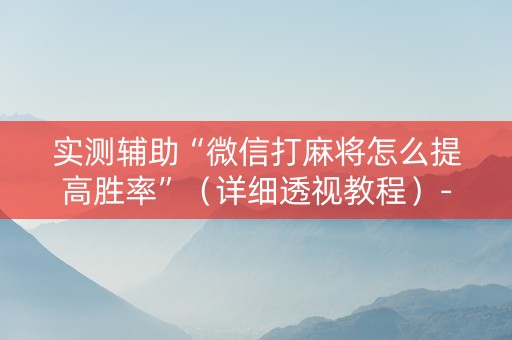 实测辅助“微信打麻将怎么提高胜率”（详细透视教程）-哔哩哔哩