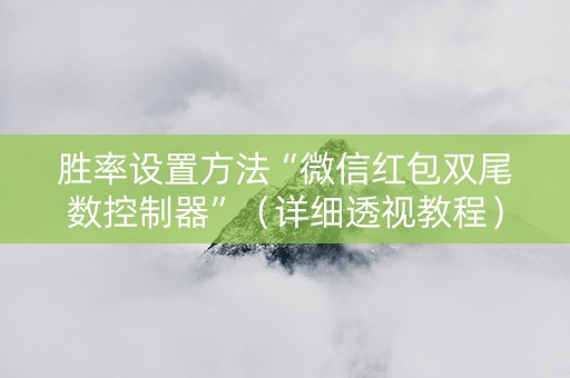 胜率设置方法“微信红包双尾数控制器”（详细透视教程）-哔哩哔哩