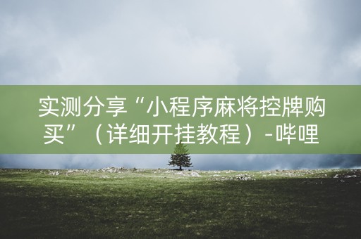 实测分享“小程序麻将控牌购买”（详细开挂教程）-哔哩哔哩