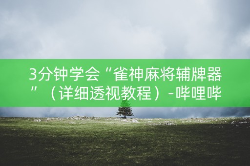 3分钟学会“雀神麻将辅牌器”（详细透视教程）-哔哩哔哩
