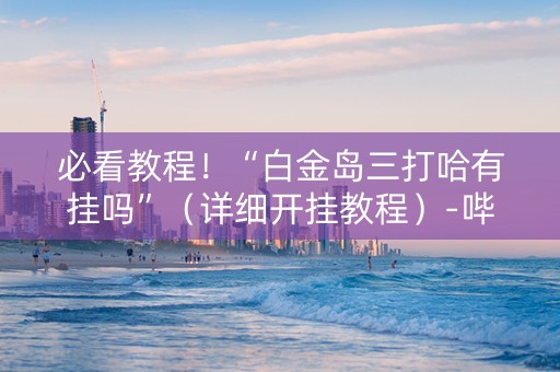 必看教程！“白金岛三打哈有挂吗”（详细开挂教程）-哔哩哔哩
