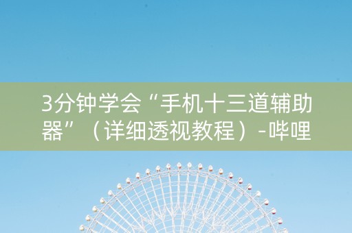 3分钟学会“手机十三道辅助器”（详细透视教程）-哔哩哔哩
