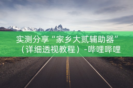 实测分享“家乡大贰辅助器”（详细透视教程）-哔哩哔哩