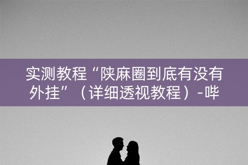 实测教程“陕麻圈到底有没有外挂”（详细透视教程）-哔哩哔哩