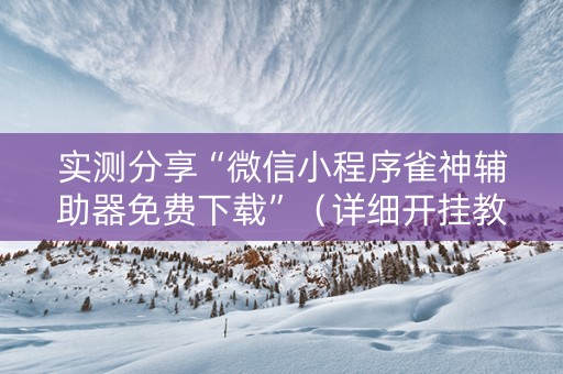 实测分享“微信小程序雀神辅助器免费下载”（详细开挂教程）-哔哩哔哩