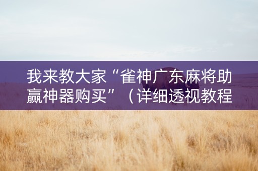 我来教大家“雀神广东麻将助赢神器购买”（详细透视教程）-哔哩哔哩