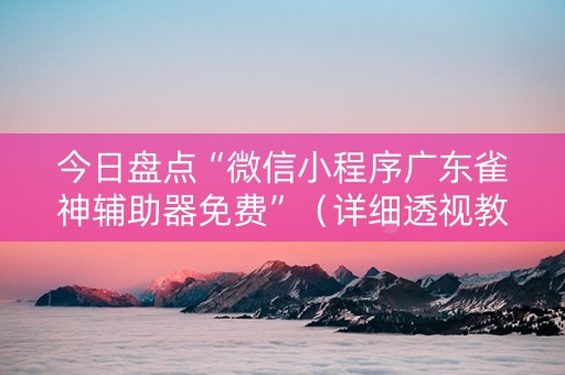 今日盘点“微信小程序广东雀神辅助器免费”（详细透视教程）-哔哩哔哩