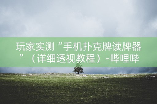 玩家实测“手机扑克牌读牌器”（详细透视教程）-哔哩哔哩