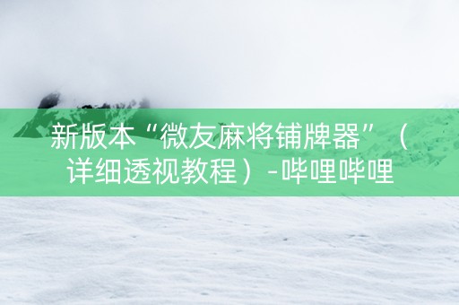 新版本“微友麻将铺牌器”（详细透视教程）-哔哩哔哩