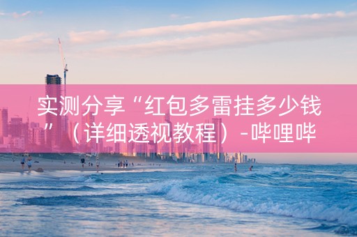 实测分享“红包多雷挂多少钱”（详细透视教程）-哔哩哔哩