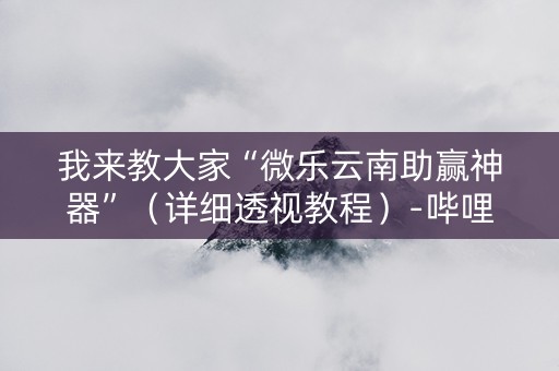 我来教大家“微乐云南助赢神器”（详细透视教程）-哔哩哔哩